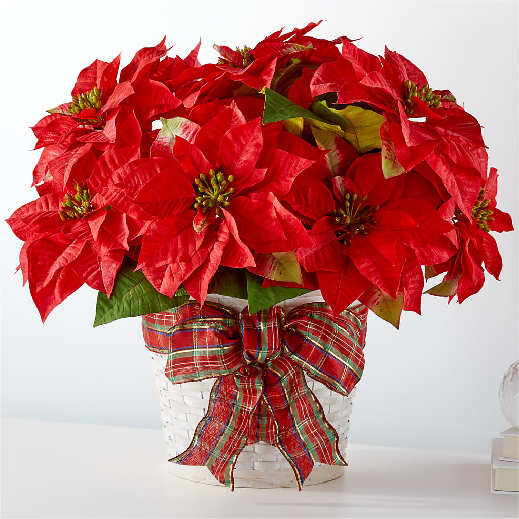 Happiest Holidays Poinsettia – Wade Florists Llc, Saint Louis MO