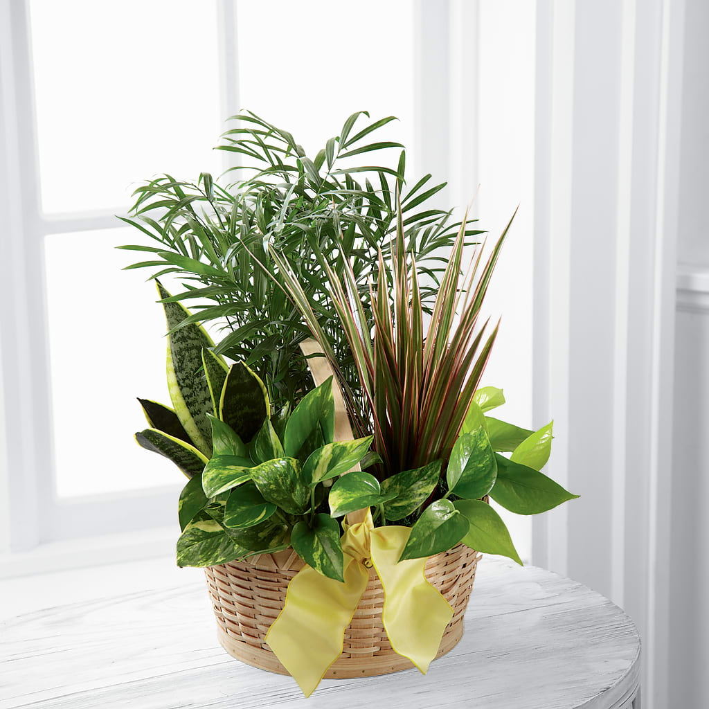 French Garden – Wade Florists Llc, Saint Louis MO