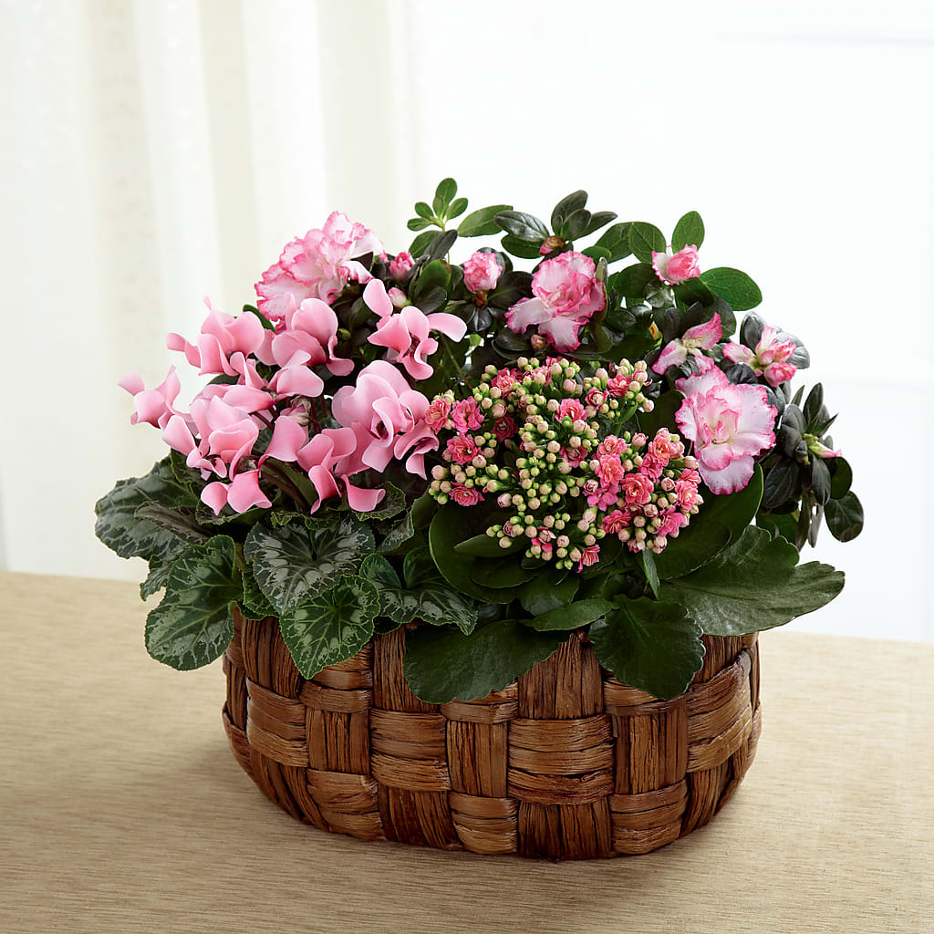 Pink Assortment – Wade Florists Llc, Saint Louis MO