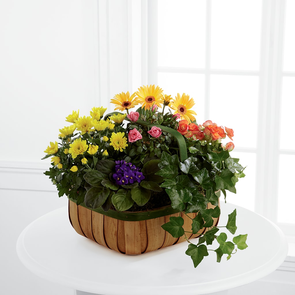 Gentle Blossoms Basket – Wade Florists Llc, Saint Louis MO