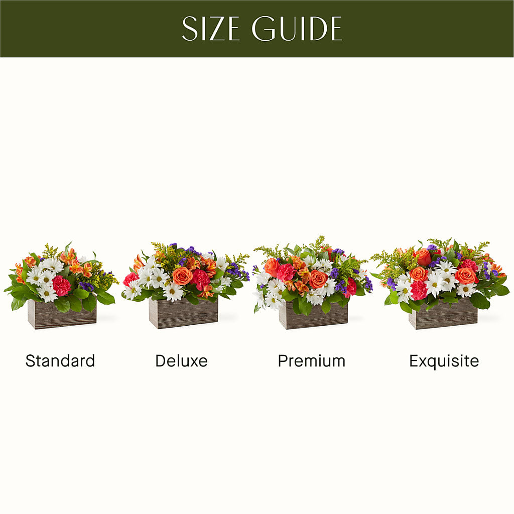 Oopsie Daisy Box Bouquet – Wade Florists Llc, Saint Louis MO