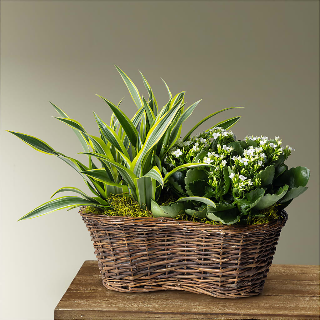 Blooming Garden – Wade Florists Llc, Saint Louis MO