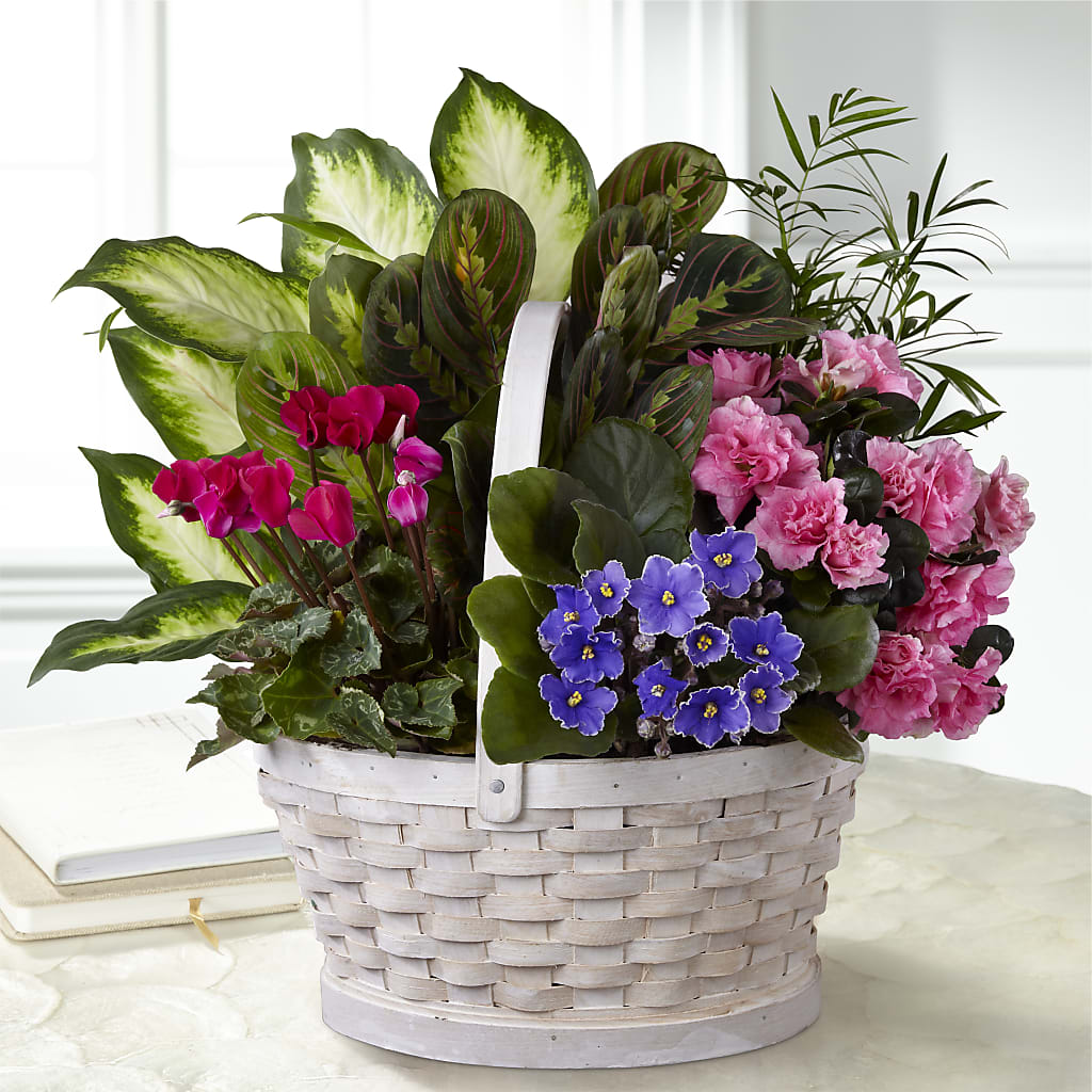 Peaceful Garden Planter – Wade Florists Llc, Saint Louis MO
