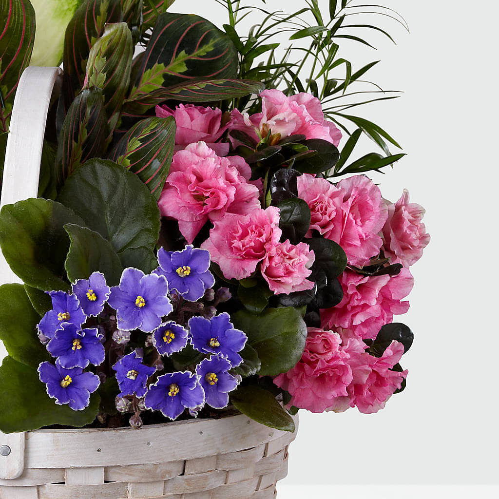 Peaceful Garden Planter – Wade Florists Llc, Saint Louis MO