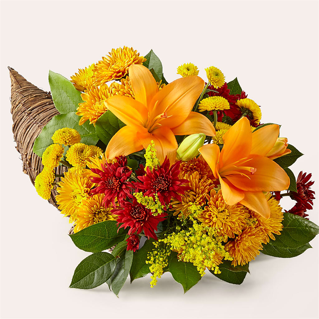 Feast of Color Cornucopia – Wade Florists Llc, Saint Louis MO