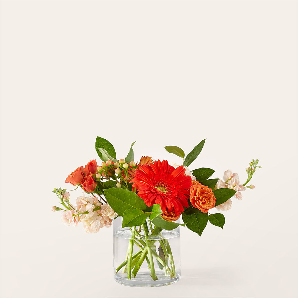 Paloma Please Bouquet – Wade Florists Llc, Saint Louis MO