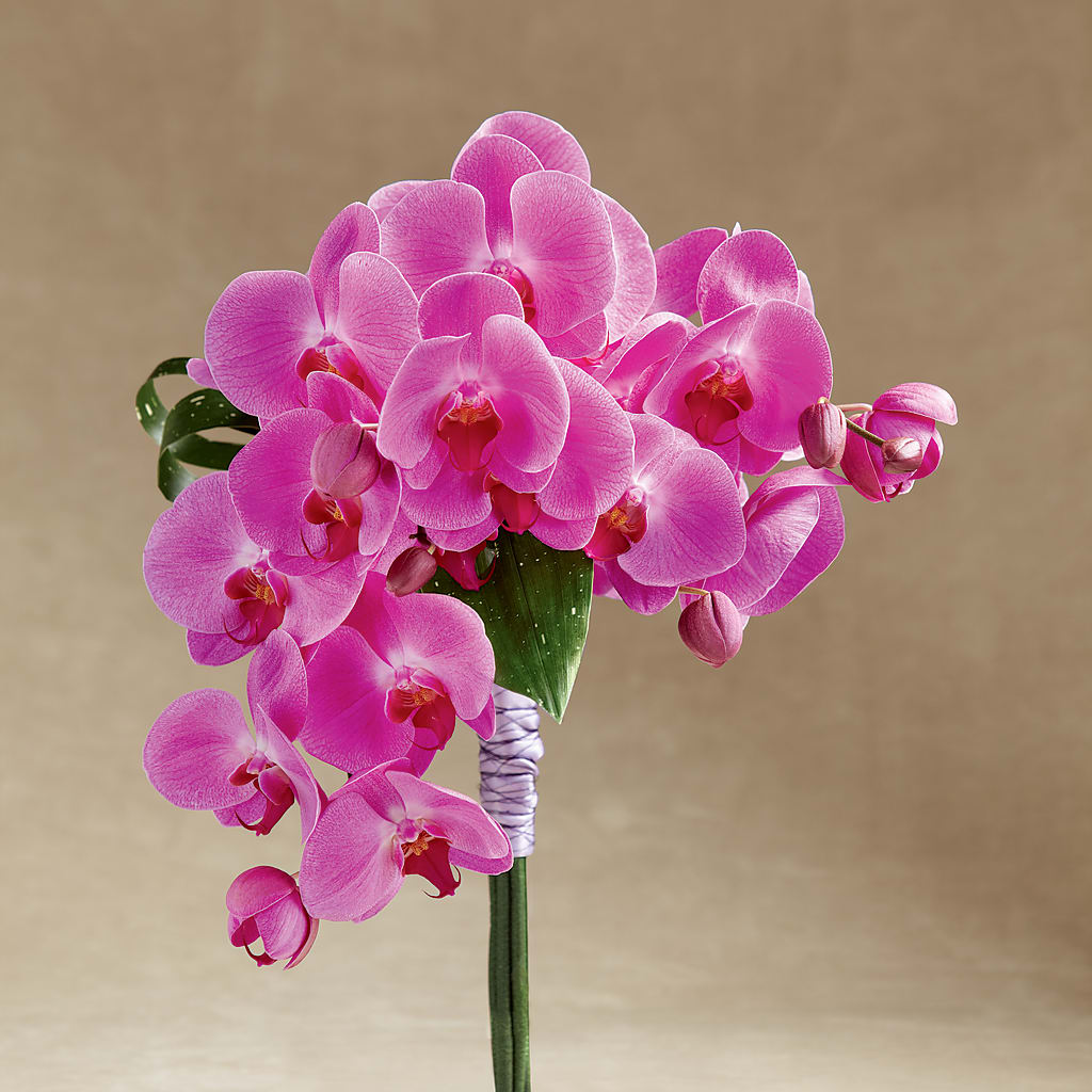Glorious Bouquet – Wade Florists Llc, Saint Louis MO