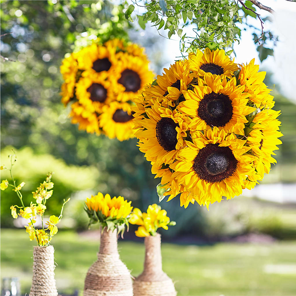 Sublime Garden Hanging Arrangement – Wade Florists Llc, Saint Louis MO