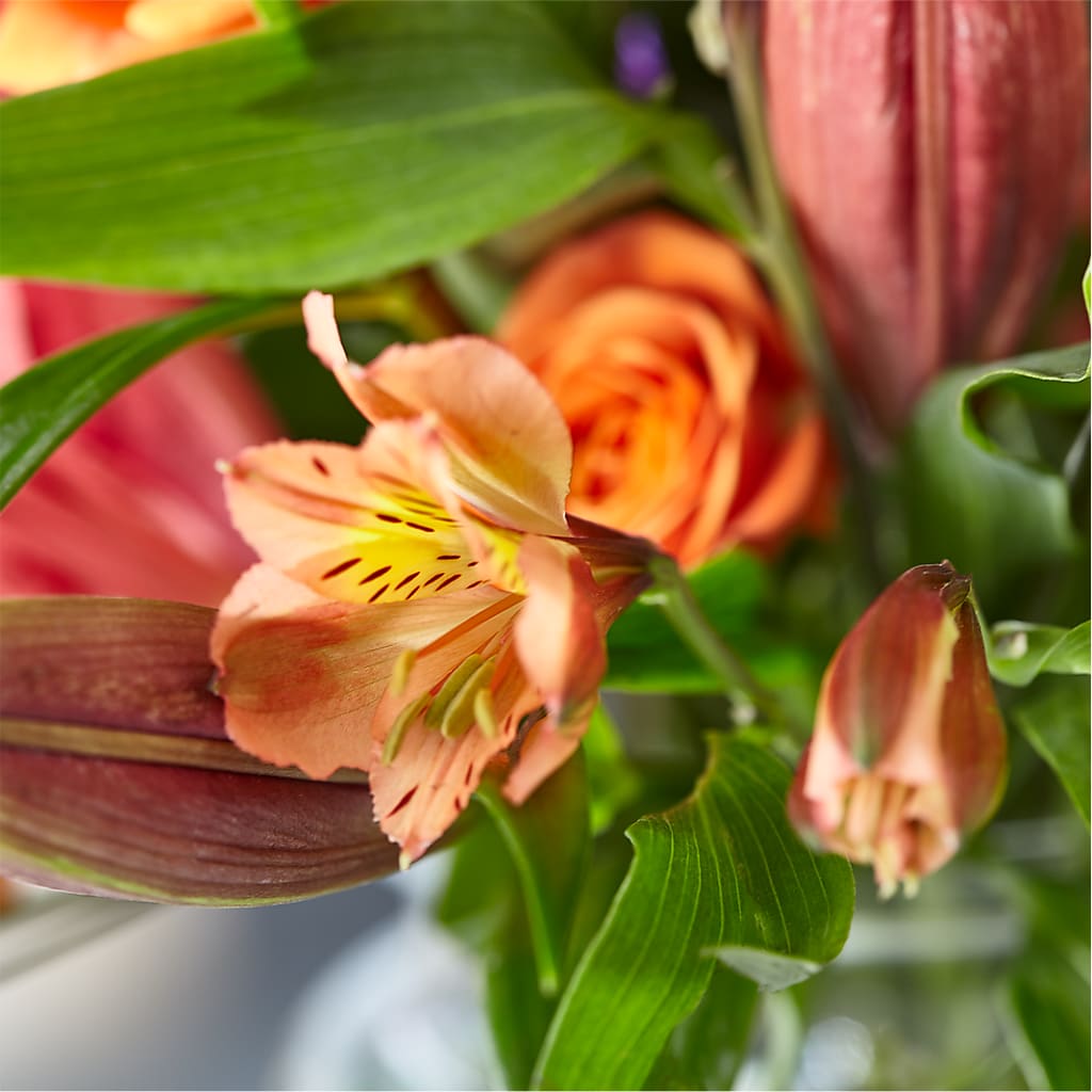 Bold & Bright – A Florist Original –  Wade Florists Llc, Saint Louis MO