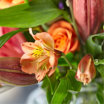 Bold & Bright – A Florist Original –  Wade Florists Llc, Saint Louis MO