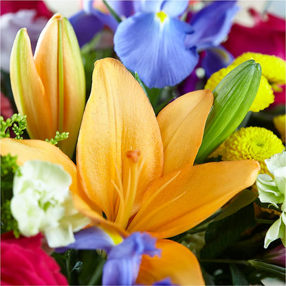 Bold & Bright – A Florist Original –  Wade Florists Llc, Saint Louis MO
