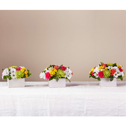 Sorbet Bouquet –  Wade Florists Llc, Saint Louis MO