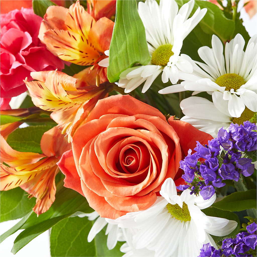 Oopsie Daisy Box Bouquet –  Wade Florists Llc, Saint Louis MO