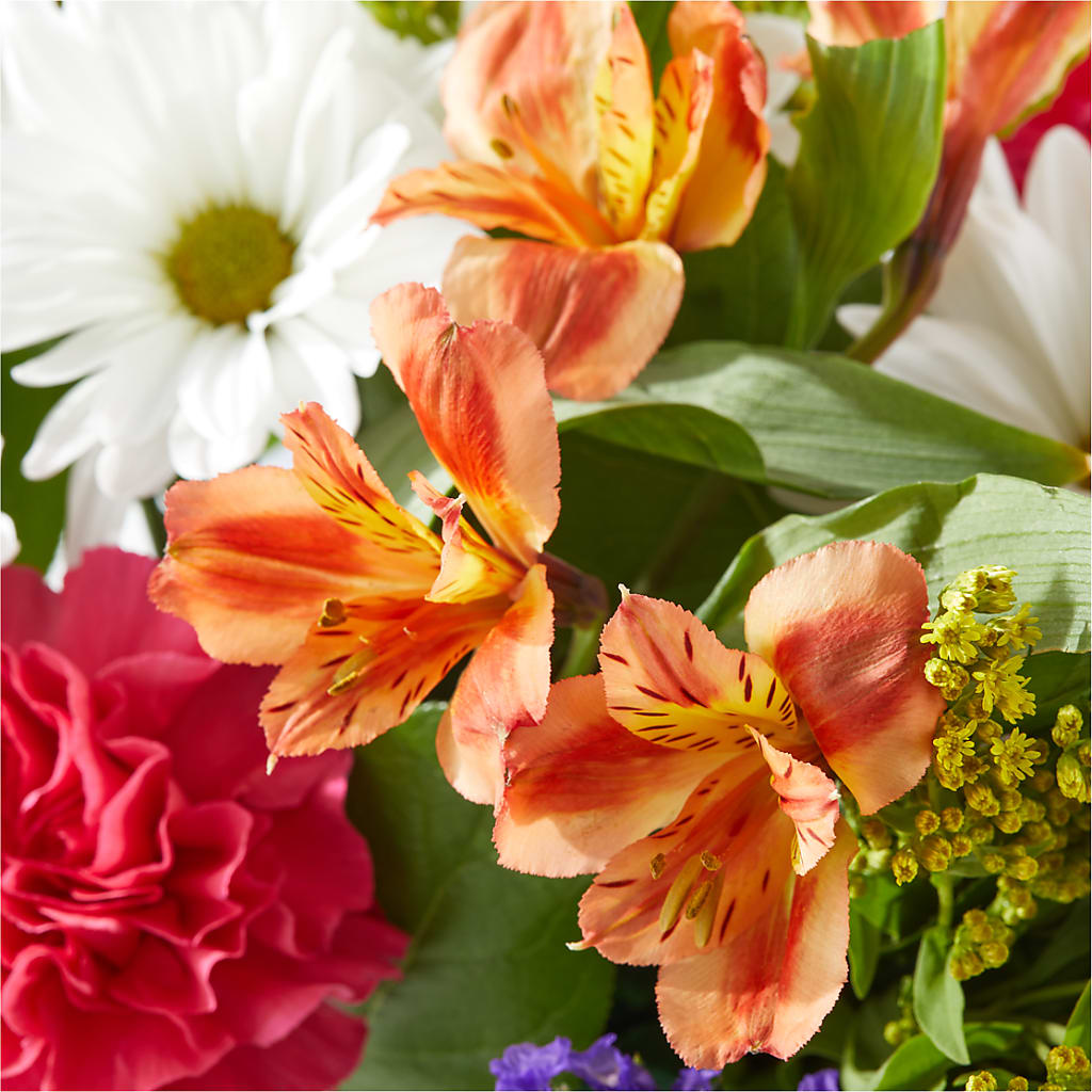 Oopsie Daisy Box Bouquet –  Wade Florists Llc, Saint Louis MO