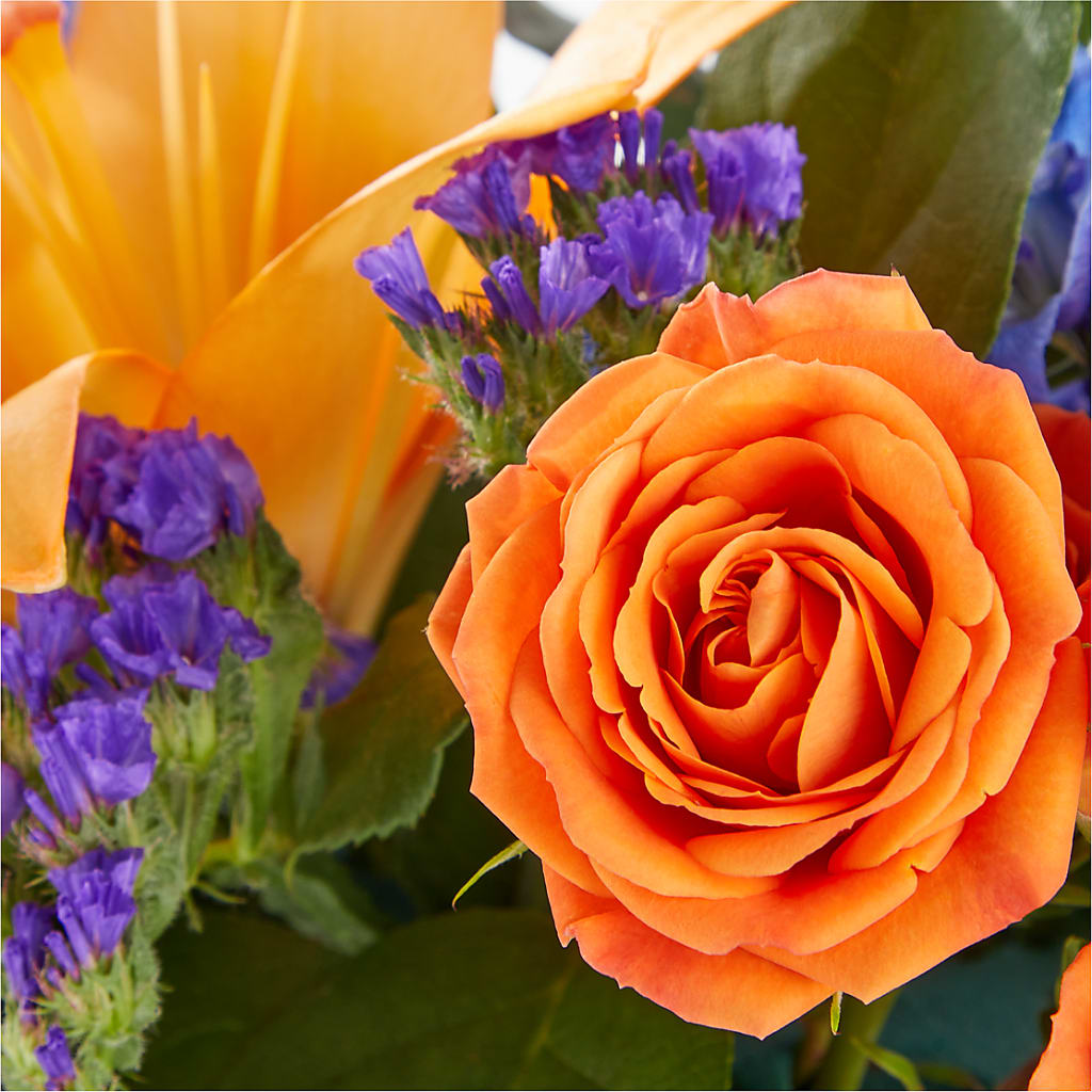 Radiant Citrus Box Bouquet –  Wade Florists Llc, Saint Louis MO