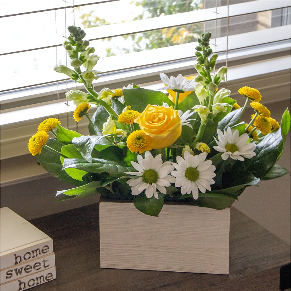 Sun Salutation Box Bouquet –  Wade Florists Llc, Saint Louis MO