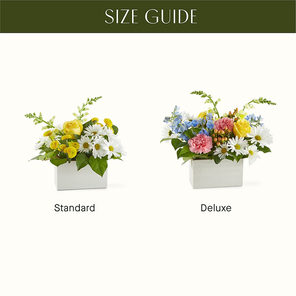 Sun Salutation Box Bouquet –  Wade Florists Llc, Saint Louis MO