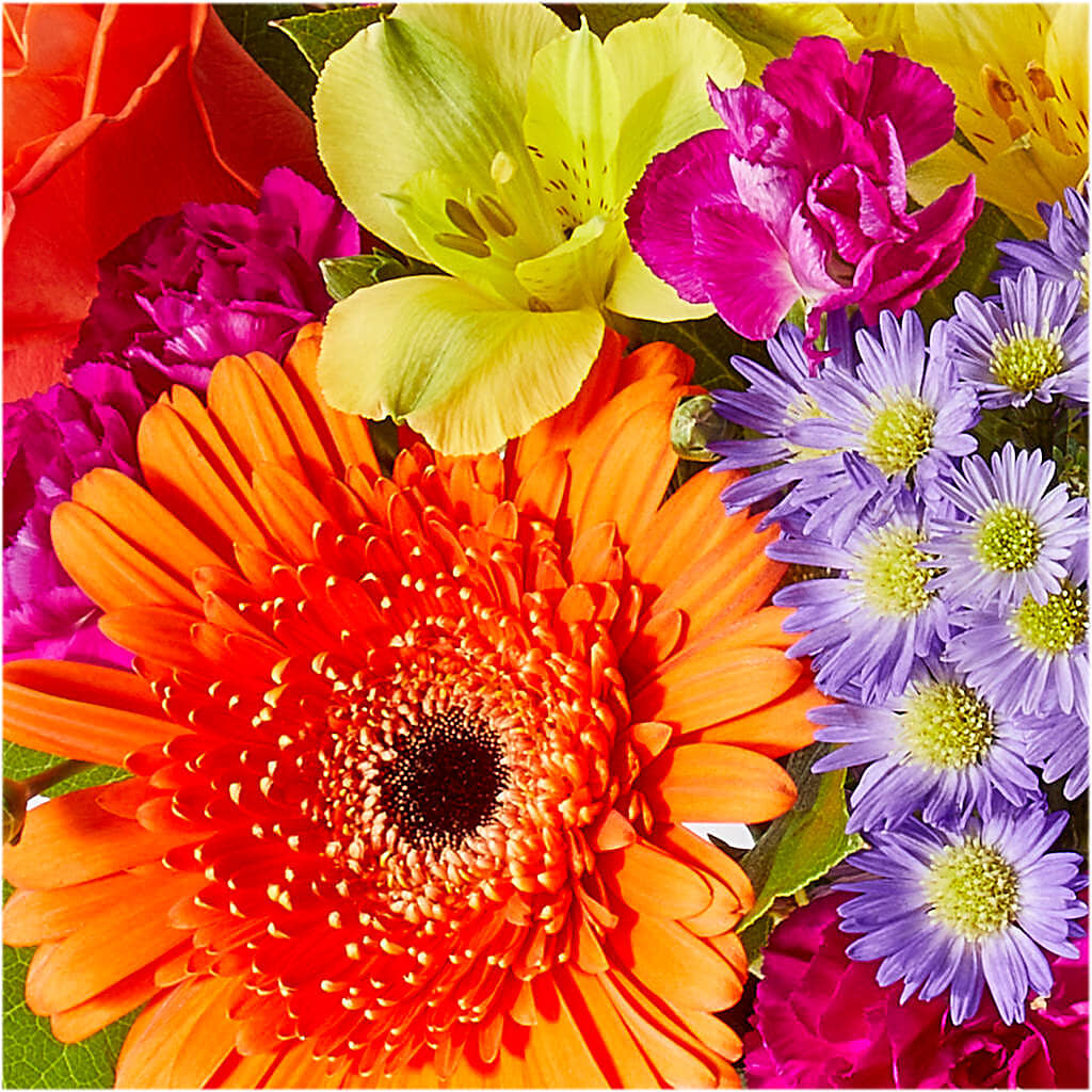 Tricks & Treats Pumpkin –  Wade Florists Llc, Saint Louis MO