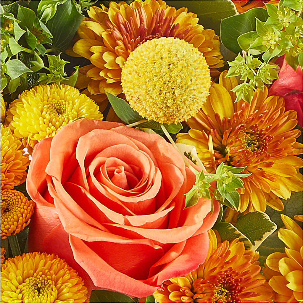 Gourdgeous Pumpkin –  Wade Florists Llc, Saint Louis MO