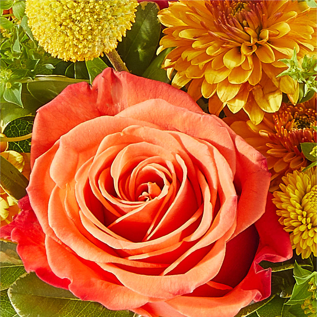 Gourdgeous Pumpkin –  Wade Florists Llc, Saint Louis MO