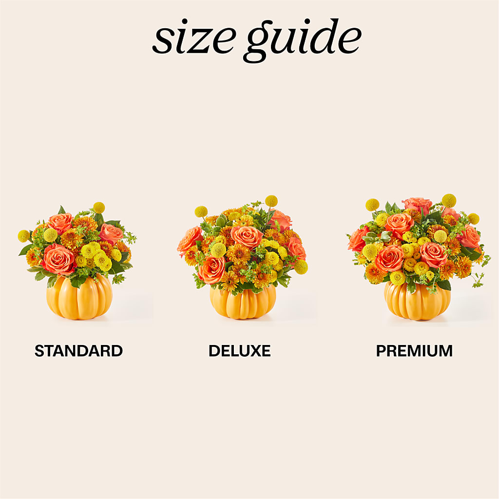 Gourdgeous Pumpkin –  Wade Florists Llc, Saint Louis MO