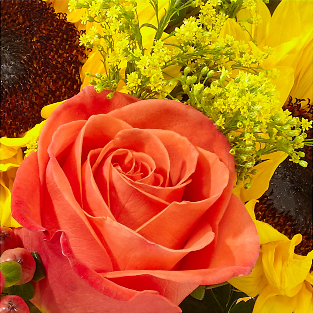 Pick of the Patch Pumpkin Bouquet –  Wade Florists Llc, Saint Louis MO