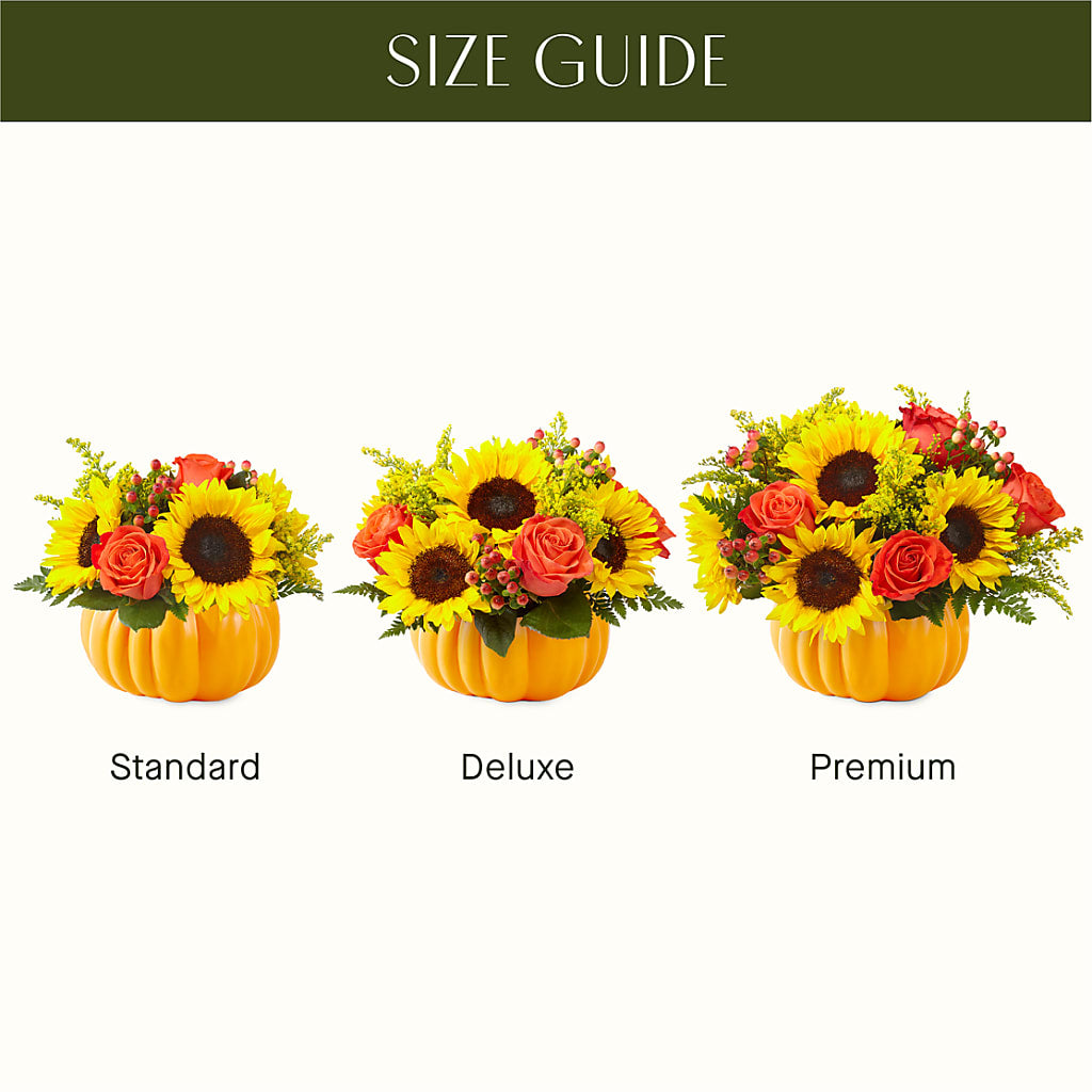 Pick of the Patch Pumpkin Bouquet –  Wade Florists Llc, Saint Louis MO