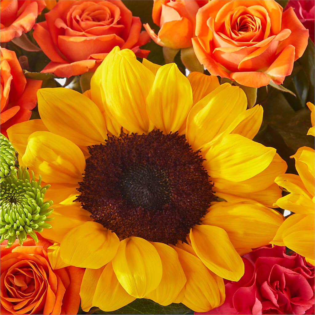 Sun-drenched Blooms Box Bouquet –  Wade Florists Llc, Saint Louis MO