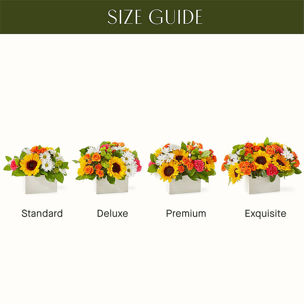 Sun-drenched Blooms Box Bouquet –  Wade Florists Llc, Saint Louis MO