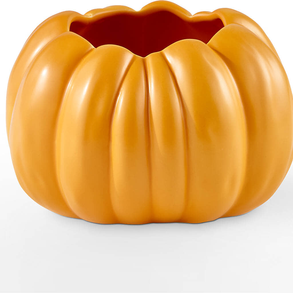 Golden Gourd Pumpkin Bouquet –  Wade Florists Llc, Saint Louis MO