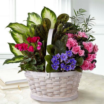 Peaceful Garden Planter –  Wade Florists Llc, Saint Louis MO