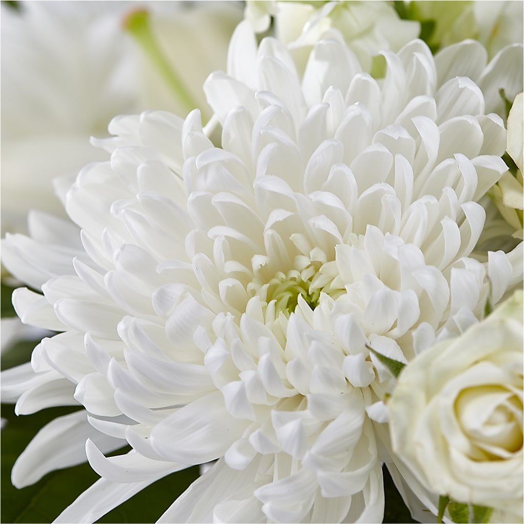 Classic Ivory – A Florist Original –  Wade Florists Llc, Saint Louis MO