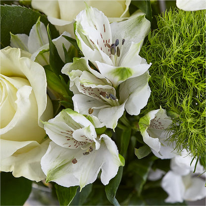 Classic Ivory – A Florist Original –  Wade Florists Llc, Saint Louis MO