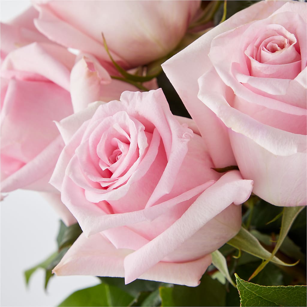 Picture Perfect Pink Rose Bouquet –  Wade Florists Llc, Saint Louis MO