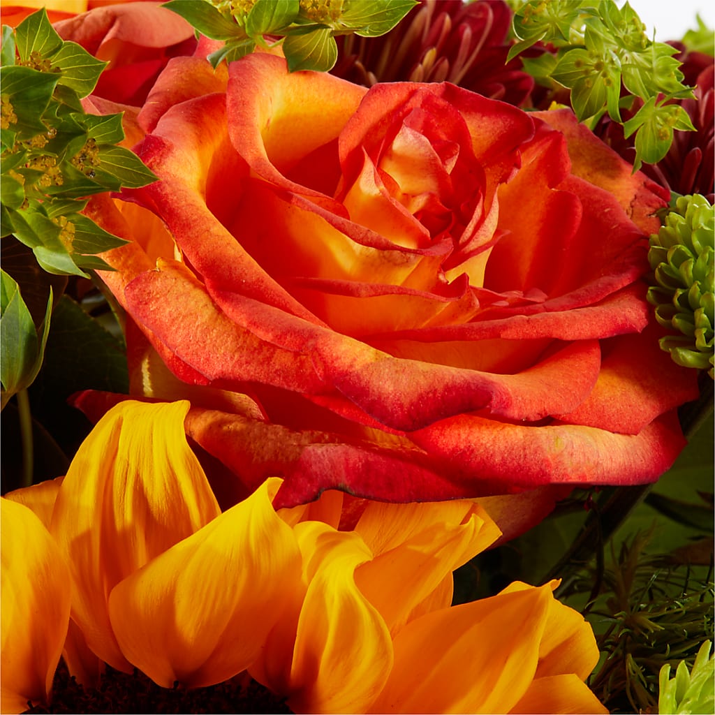Harvest Festival Bouquet –  Wade Florists Llc, Saint Louis MO
