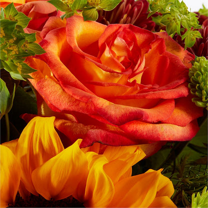 Harvest Festival Bouquet –  Wade Florists Llc, Saint Louis MO