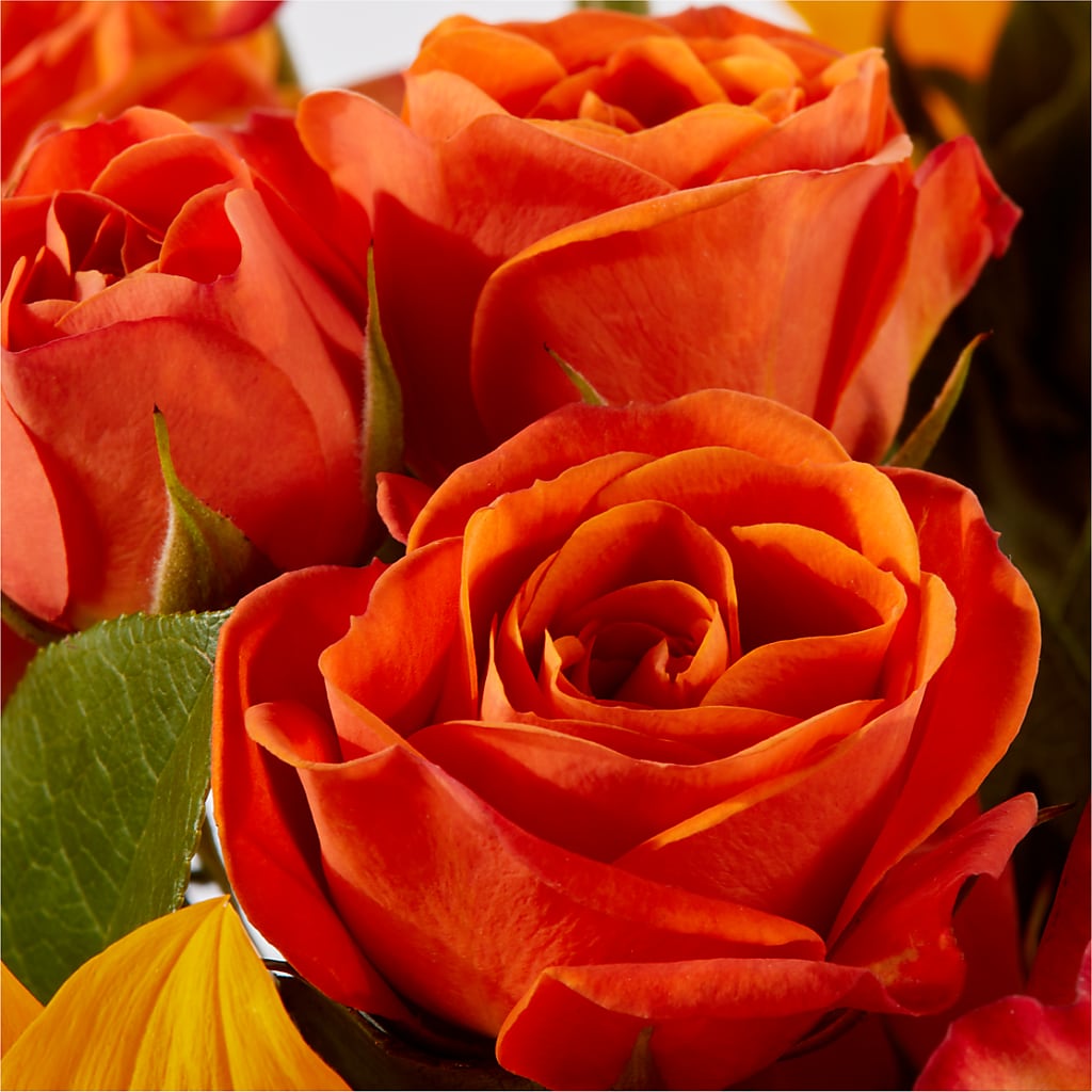 Picnic in the Park Bouquet –  Wade Florists Llc, Saint Louis MO