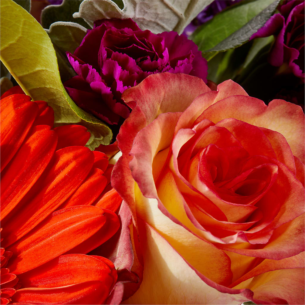 Sangria Bouquet –  Wade Florists Llc, Saint Louis MO