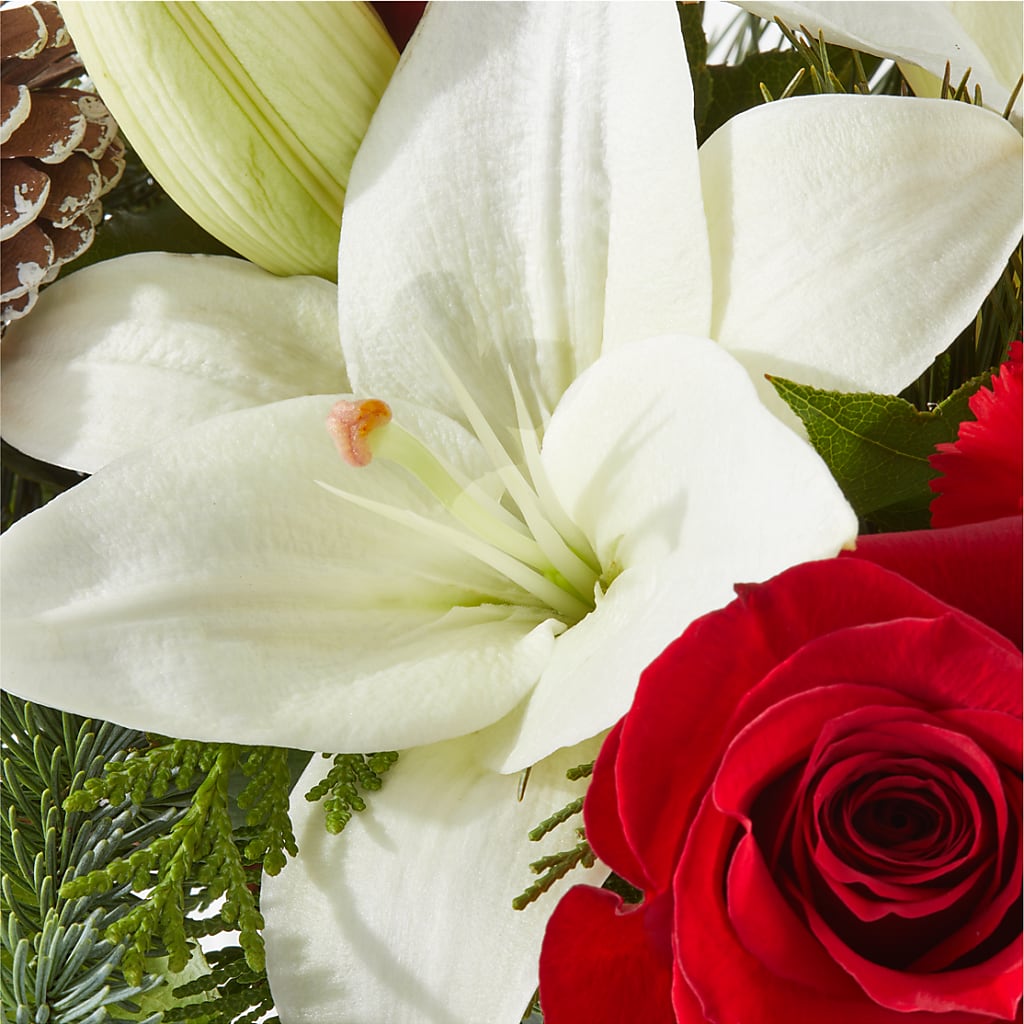 Oh So Jolly Bouquet –  Wade Florists Llc, Saint Louis MO
