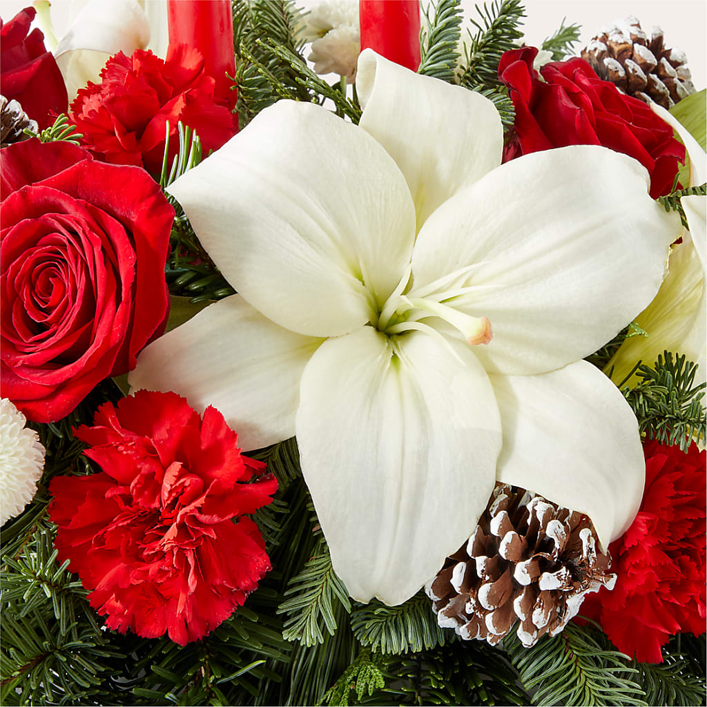 Seasonal Festivities Centerpiece –  Wade Florists Llc, Saint Louis MO