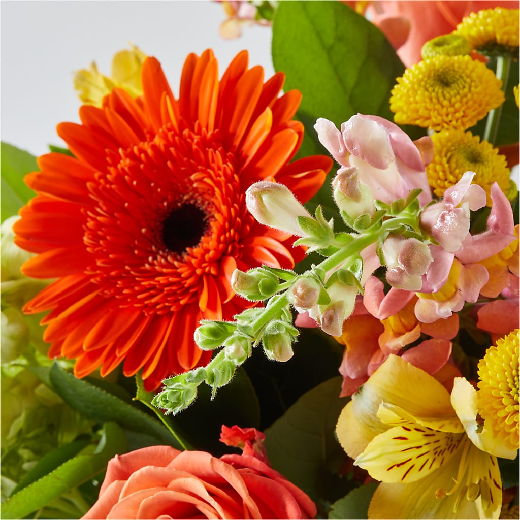Autumn Sunshine Bouquet –  Wade Florists Llc, Saint Louis MO