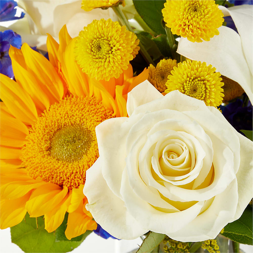 Stargazing Bouquet –  Wade Florists Llc, Saint Louis MO