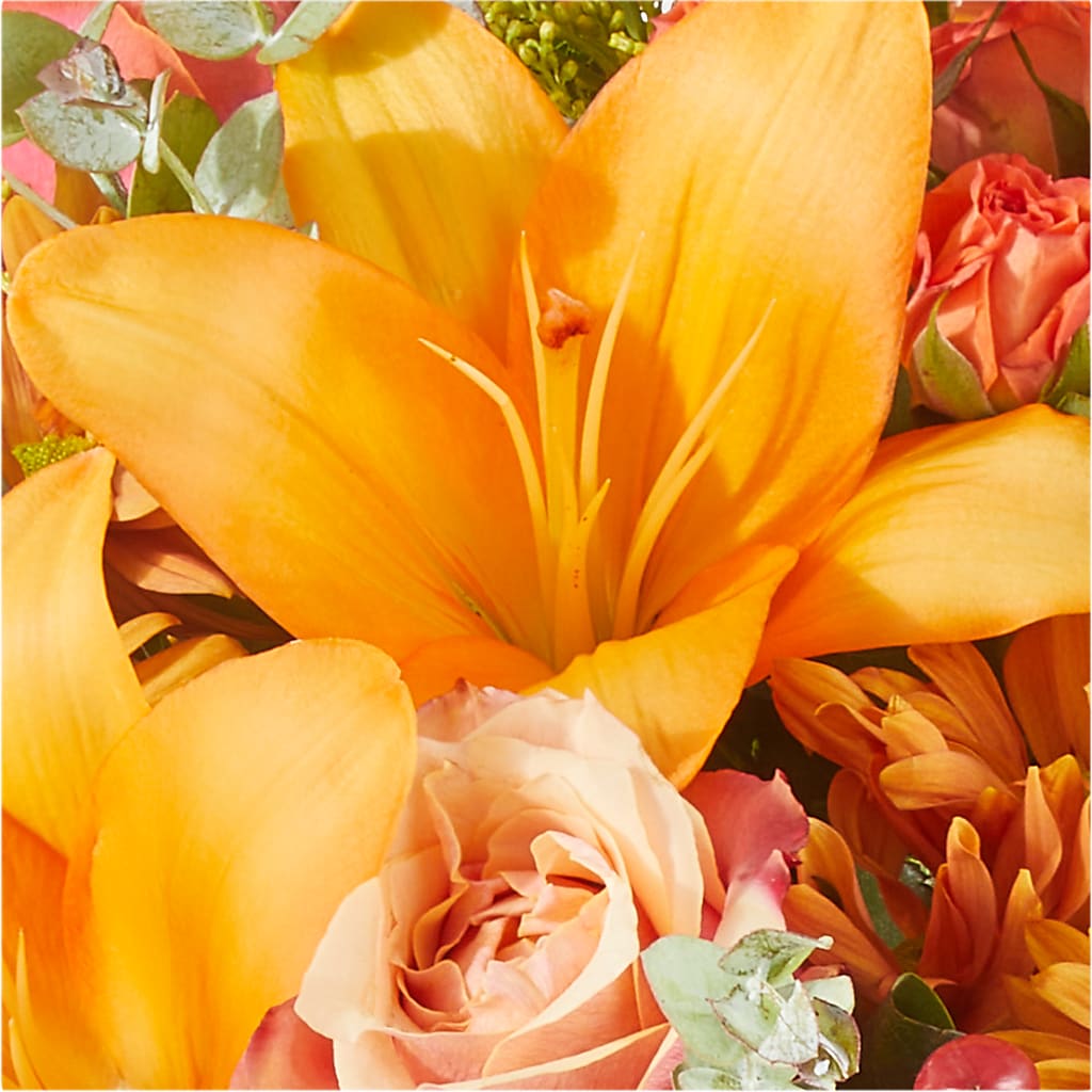 Harvest Hayride Bouquet –  Wade Florists Llc, Saint Louis MO