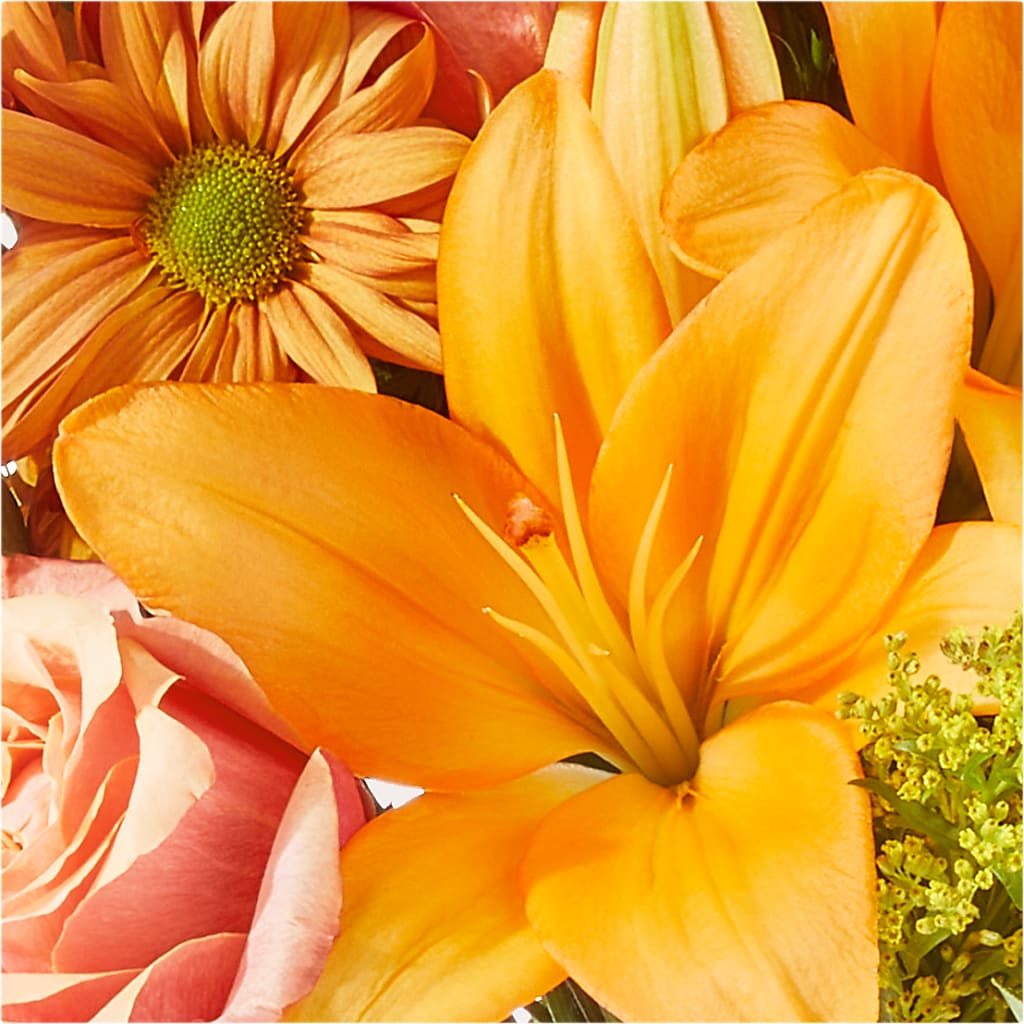 Harvest Hayride Bouquet –  Wade Florists Llc, Saint Louis MO