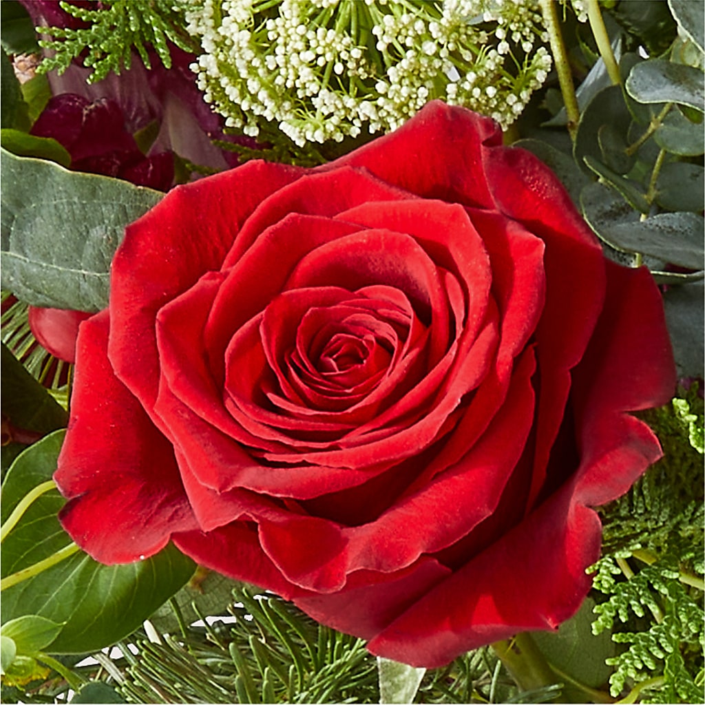Cranberry Fizz Bouquet –  Wade Florists Llc, Saint Louis MO