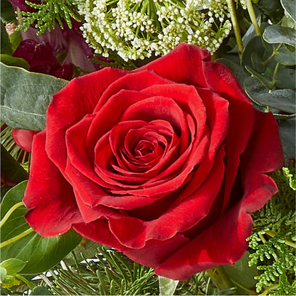 Cranberry Fizz Bouquet –  Wade Florists Llc, Saint Louis MO