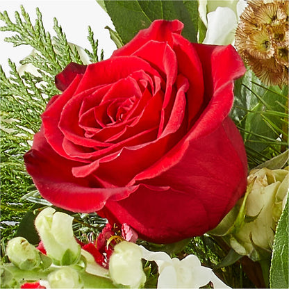 Deck the Halls Bouquet –  Wade Florists Llc, Saint Louis MO
