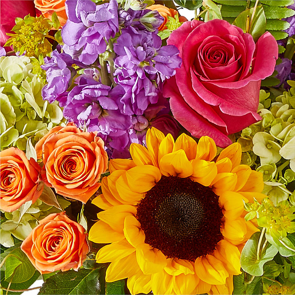 Vibrant Greetings Bouquet –  Wade Florists Llc, Saint Louis MO