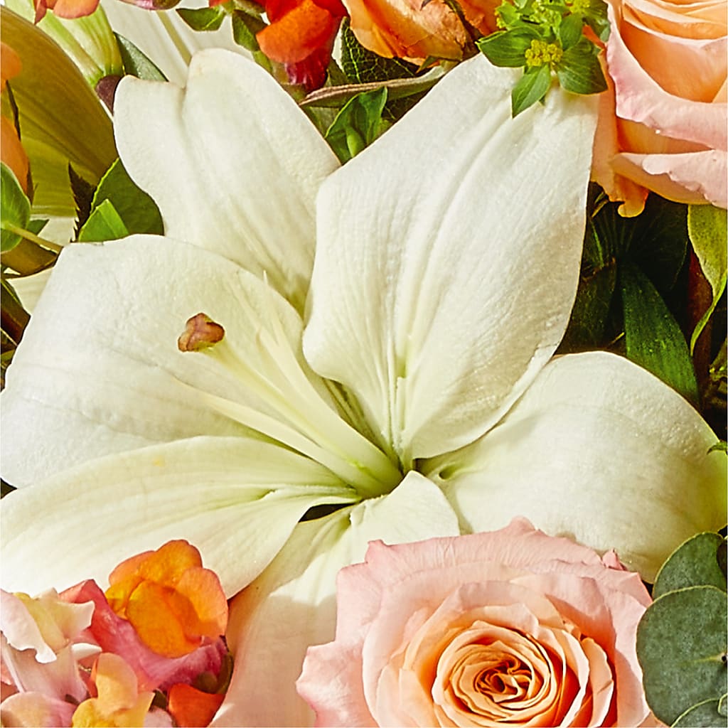 Grapefruit Splash Bouquet –  Wade Florists Llc, Saint Louis MO