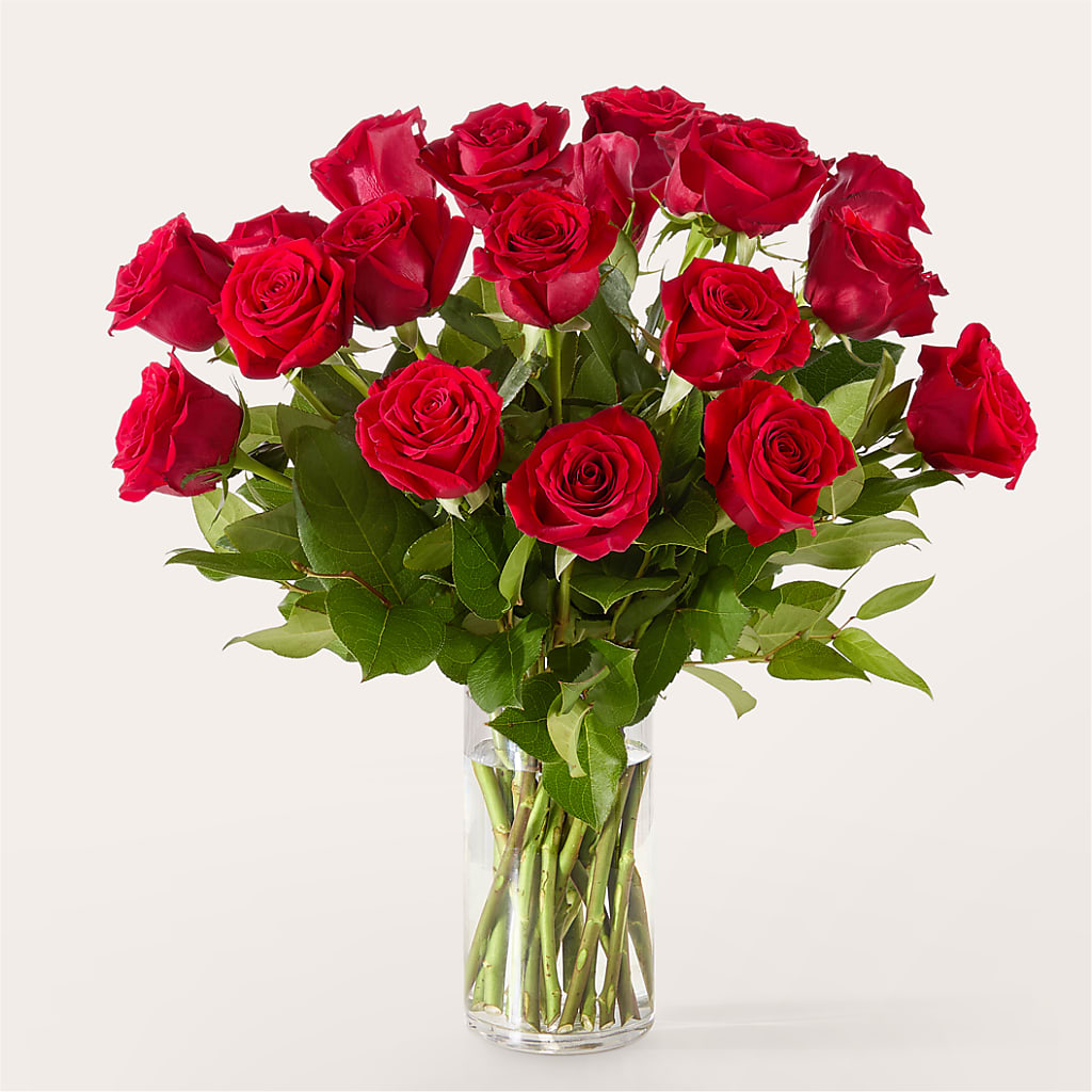The One Red Rose Bouquet –  Wade Florists Llc, Saint Louis MO